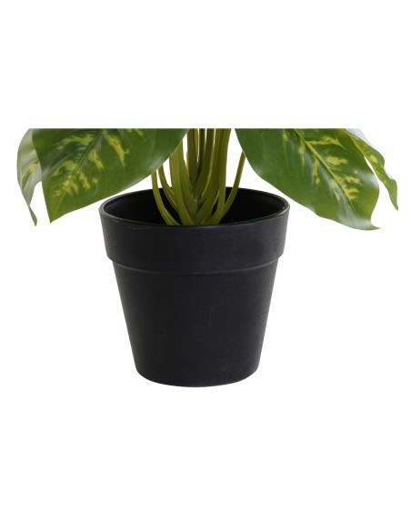 Plante décorative DKD Home Decor PVC polypropylène 20 x 20 x 30 cm