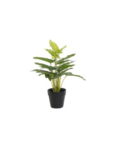 Plante décorative DKD Home Decor PVC polypropylène 25 x 25 x 30 cm