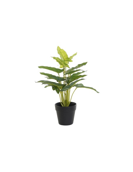 Plante décorative DKD Home Decor PVC polypropylène 25 x 25 x 30 cm