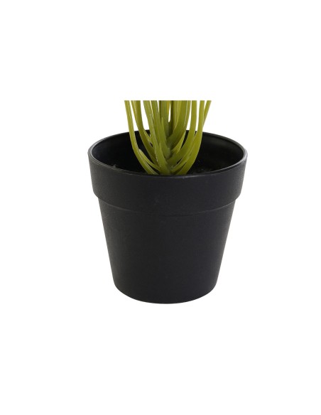 Plante décorative DKD Home Decor PVC polypropylène 25 x 25 x 30 cm