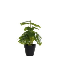 Plante décorative DKD Home Decor PVC polypropylène 20 x 20 x 30 cm
