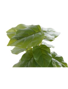 Plante décorative DKD Home Decor PVC polypropylène 20 x 20 x 30 cm 2