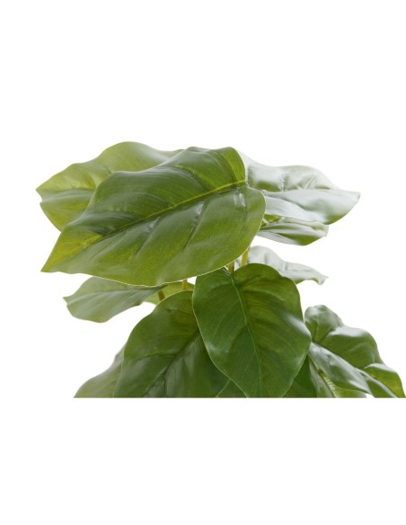 Plante décorative DKD Home Decor PVC polypropylène 20 x 20 x 30 cm