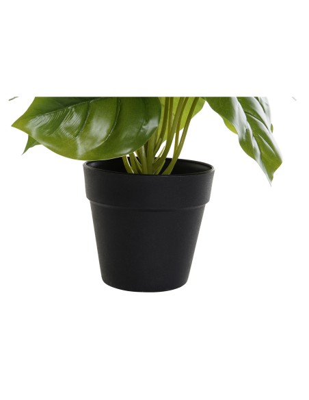 Plante décorative DKD Home Decor PVC polypropylène 20 x 20 x 30 cm