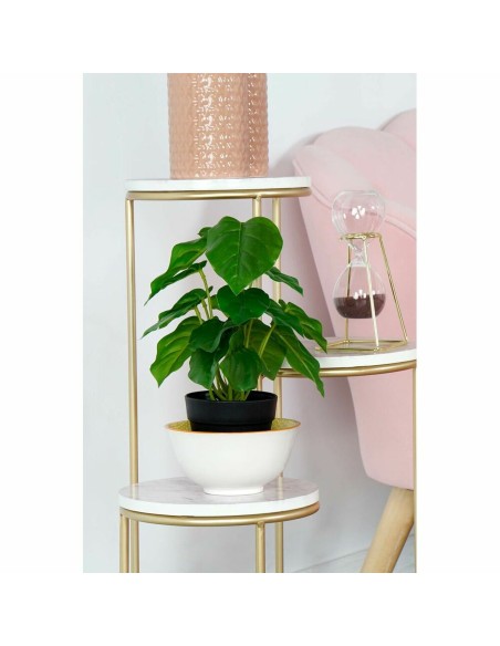 Plante décorative DKD Home Decor PVC polypropylène 20 x 20 x 30 cm