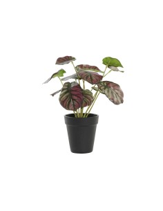 Plante décorative DKD Home Decor Rose Vert PE (10 x 10 x 27 cm)