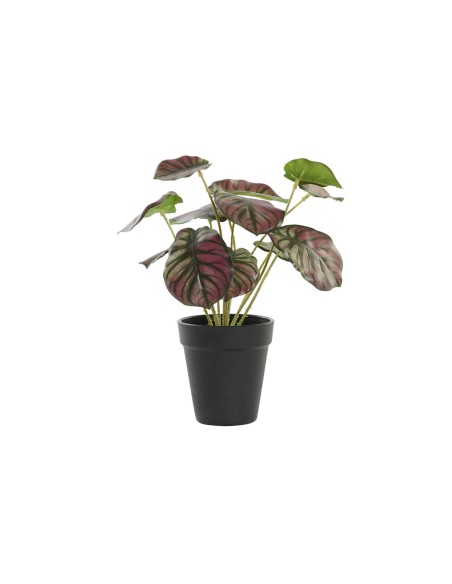 Plante décorative DKD Home Decor Rose Vert PE (10 x 10 x 27 cm)