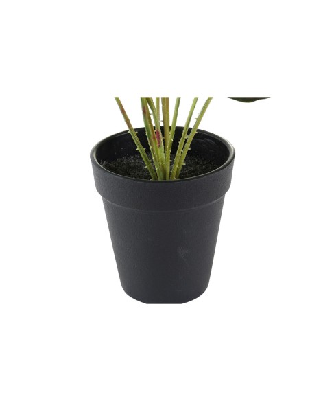 Plante décorative DKD Home Decor Rose Vert PE (10 x 10 x 27 cm)