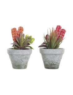 Plante décorative DKD Home Decor Rouge Gris Orange EVA PE (16 x 12,5 x 19,5 cm) (2 Unités)