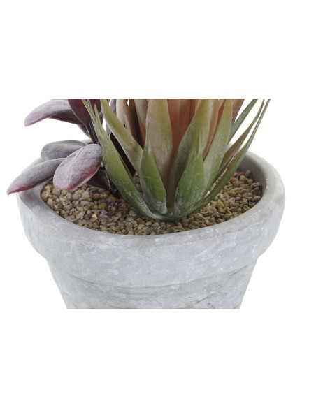 Plante décorative DKD Home Decor Rouge Gris Orange EVA PE (16 x 12,5 x 19,5 cm) (2 Unités)