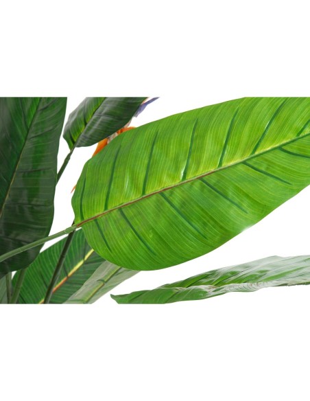 Plante décorative DKD Home Decor PVC Plastique 100 x 100 x 145 cm