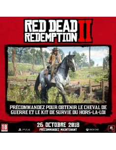 Jeu vidéo PlayStation 4 Sony Red Dead Redemption 2 2
