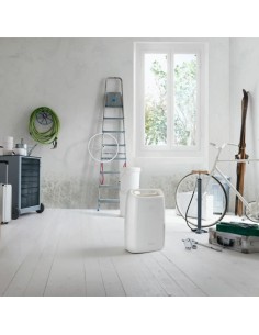 Déshumidificateur DeLonghi 2