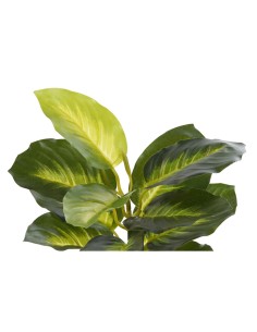 Plante décorative DKD Home Decor PVC polypropylène 25 x 25 x 30 cm 2
