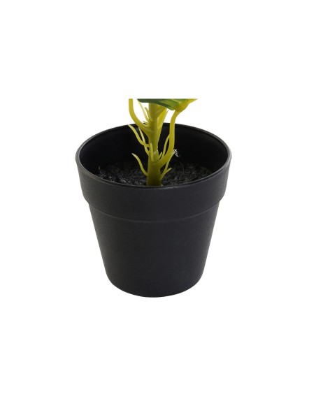 Plante décorative DKD Home Decor PVC polypropylène 25 x 25 x 30 cm