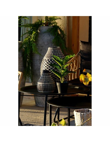 Plante décorative DKD Home Decor PVC polypropylène 25 x 25 x 30 cm