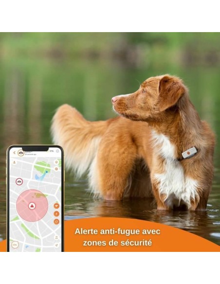 Localisateur Anti-perte Weenect Weenect XS GPS Blanc