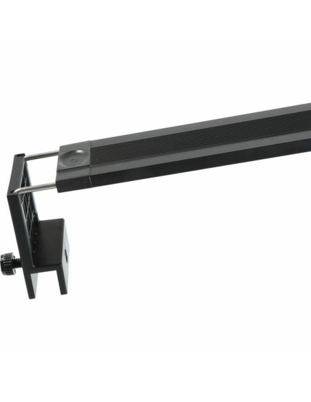 Bandes LED Zolux 300 cm Blanc froid 6500K
