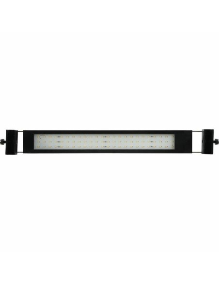 Bandes LED Zolux 300 cm Blanc froid 6500K