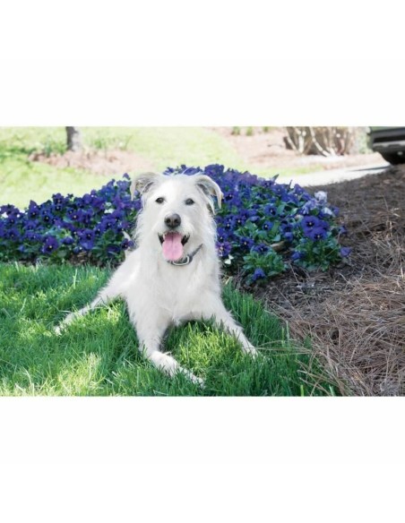 Collier anti-aboiement PetSafe