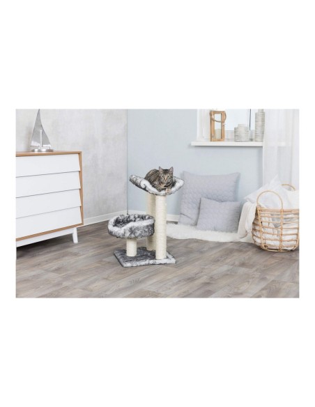 Grattoir pour Chats Trixie 44567 Arbre Sisal Noir Ø 8 cm 62 cm 36 x 36 cm