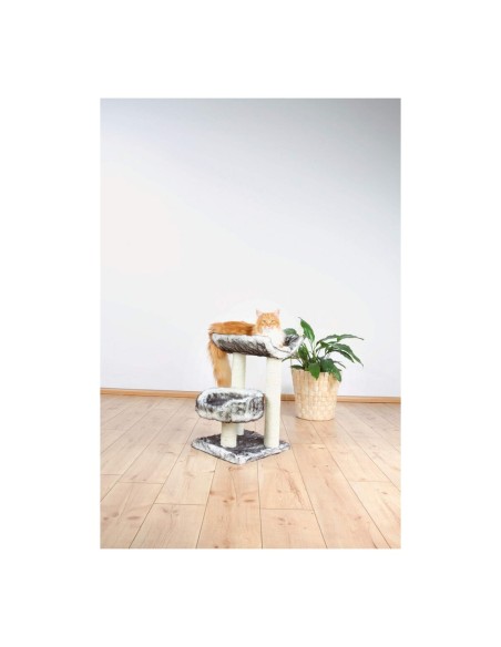 Grattoir pour Chats Trixie 44567 Arbre Sisal Noir Ø 8 cm 62 cm 36 x 36 cm