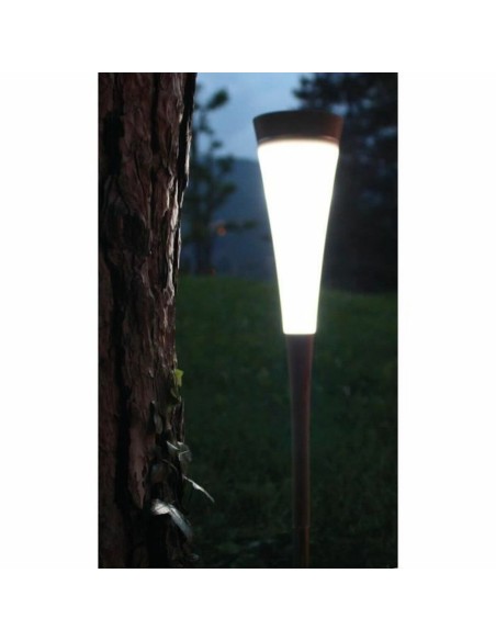 Lampe solaire Blanc 30 Lm