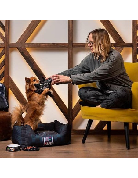 Jouet pour chien Star Wars