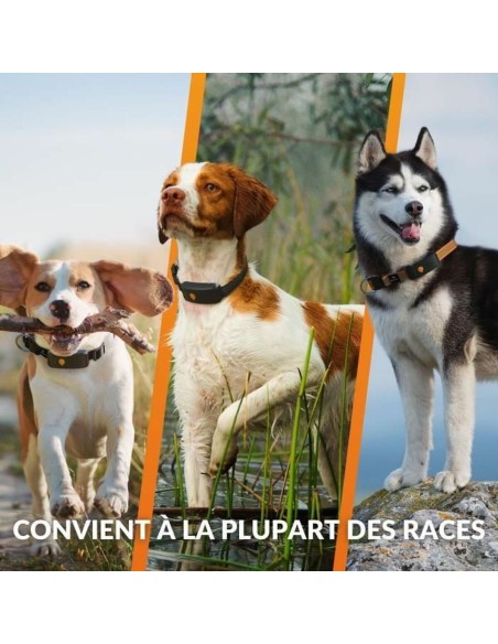 Localisateur Anti-perte Weenect