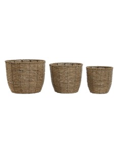 Set de pots de fleurs Home ESPRIT Marron Fibre Tropical 31 x 31 x 24 cm