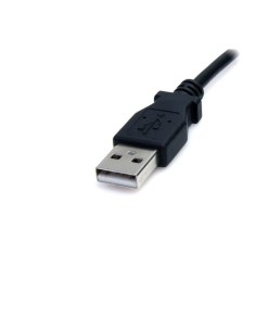 Câble USB M Startech USB2TYPEM
