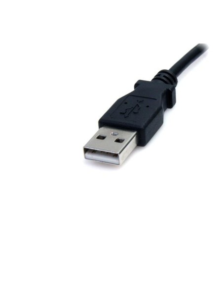 Câble USB M Startech USB2TYPEM