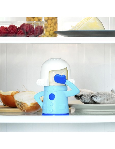 Déodorant pour réfrigérateurs Fummom InnovaGoods