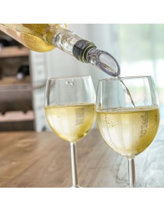 Rafraîchisseur de Vin avec Aérateur InnovaGoods 2