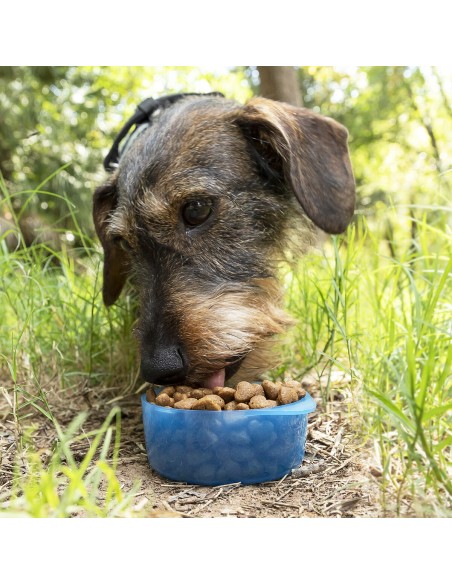 Bouteille avec Distributeur d'Eau et d'Aliments pour Animaux2 en 1 Pettap InnovaGoods