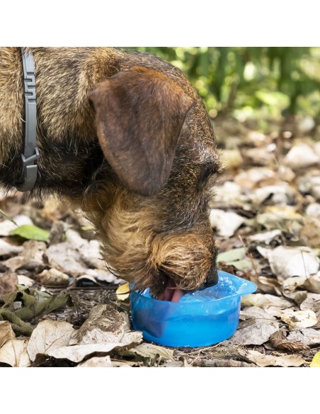 Bouteille avec Distributeur d'Eau et d'Aliments pour Animaux2 en 1 Pettap InnovaGoods