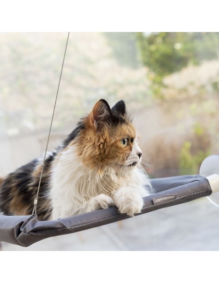 Hamac Suspendu pour Chats Catlax InnovaGoods