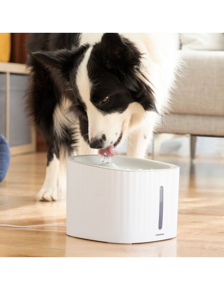 Fontaine pour Animaux de Compagnie Drinkatt InnovaGoods