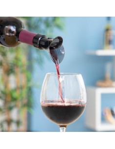Bouchon Verseur Aérateur de Vin 2 en 1 Wintopp InnovaGoods