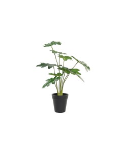 Plante décorative DKD Home Decor Vert PE (20 x 20 x 40 cm)