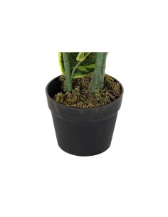 Plante décorative DKD Home Decor Polyéthylène Vert 40 x 40 x 120 cm Urbaine 2