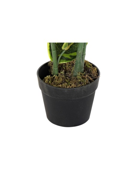 Plante décorative DKD Home Decor Polyéthylène Vert 40 x 40 x 120 cm Urbaine
