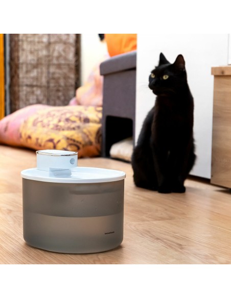 Fontaine pour Chats Rechargeable avec Détecteur Refopet InnovaGoods