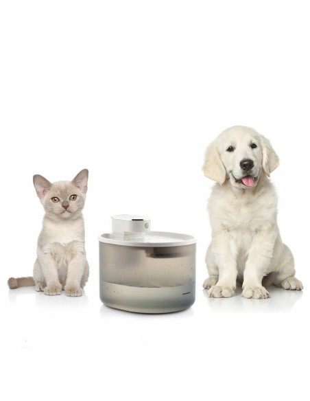 Fontaine pour Chats Rechargeable avec Détecteur Refopet InnovaGoods