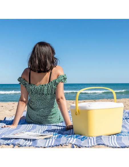 Glacière Rigide Portable Lilty InnovaGoods 15 L