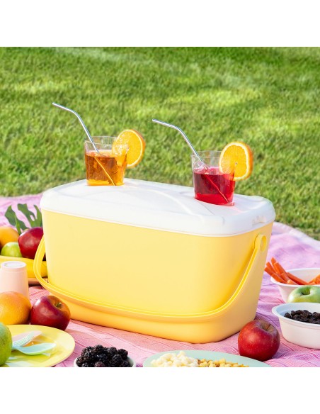 Glacière Rigide Portable Lilty InnovaGoods 15 L