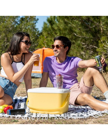 Glacière Rigide Portable Lilty InnovaGoods 15 L