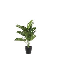 Plante décorative DKD Home Decor Monstera Vert PP PE (48 x 42 x 51 cm)