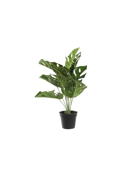 Plante décorative DKD Home Decor Monstera Vert PP PE (48 x 42 x 51 cm)