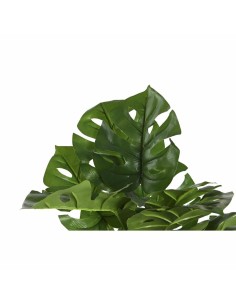 Plante décorative DKD Home Decor Monstera Vert PP PE (48 x 42 x 51 cm) 2